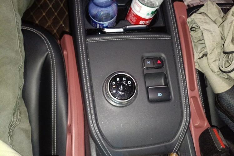 Used Ford Mustang Mach-E 2021 Leap Edition Rear-Drive Version (Standard Range) Gear Lever
