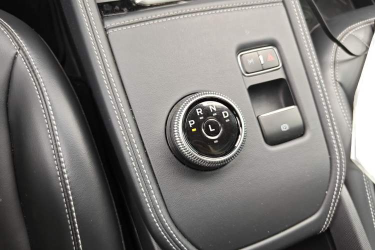 Used Ford Mustang Mach-E 2021 Leap Edition Rear-Drive Version (Standard Range) Gear Lever