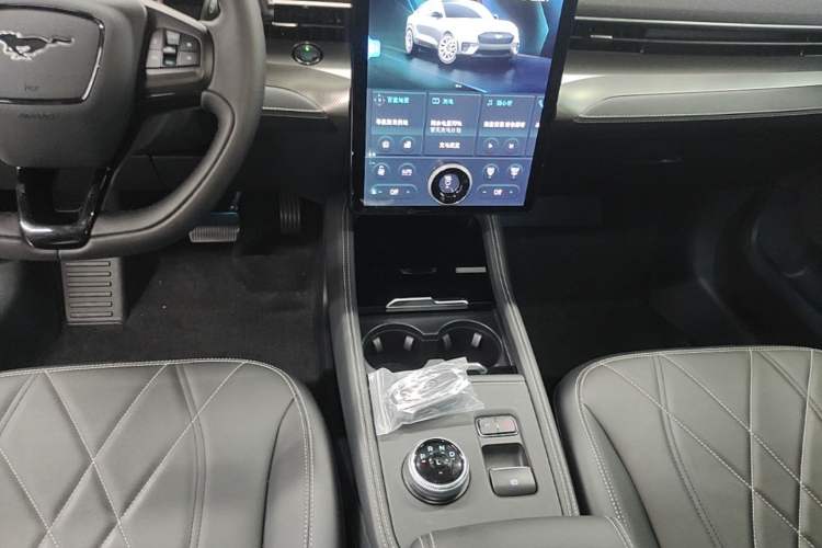 Used Ford Mustang Mach-E 2021 Leap Edition Rear-Drive Version (Standard Range) Gear Lever