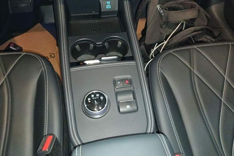 Used Ford Mustang Mach-E 2021 Leap Edition Rear-Drive Version (Standard Range) Gear Lever