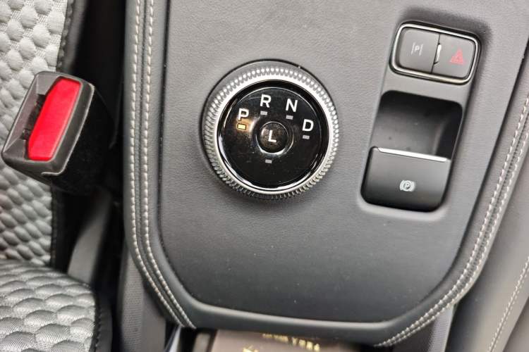 Used Ford Mustang Mach-E 2021 Leap Edition Rear-Drive Version (Standard Range) Gear Lever