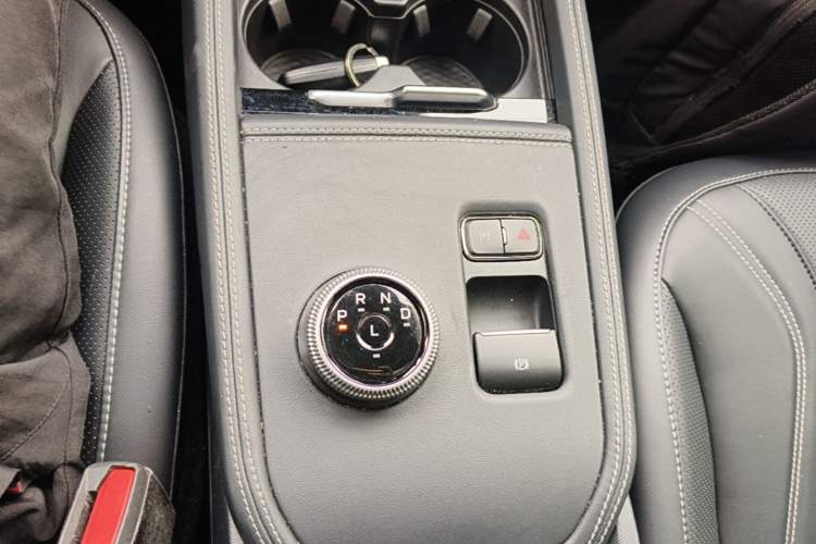 Used Ford Mustang Mach-E 2021 AION Y Plus Rear-Drive Luxury Edition (Long Range) Gear Lever