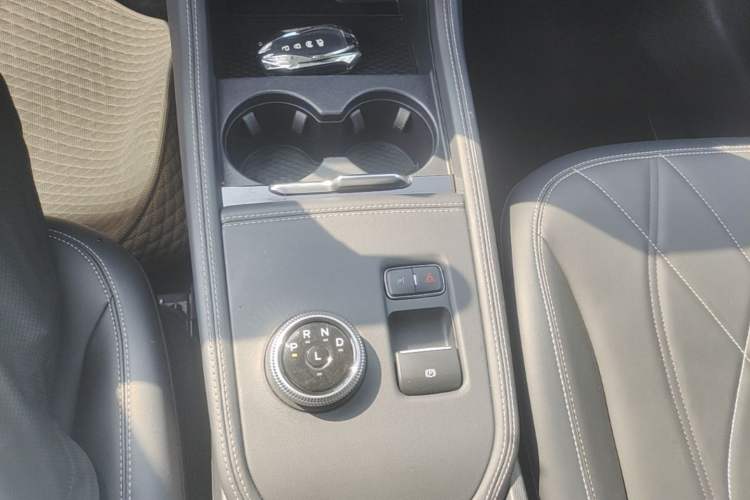Used Ford Mustang Mach-E 2021 Leap Edition Rear-Drive Version (Standard Range) Gear Lever