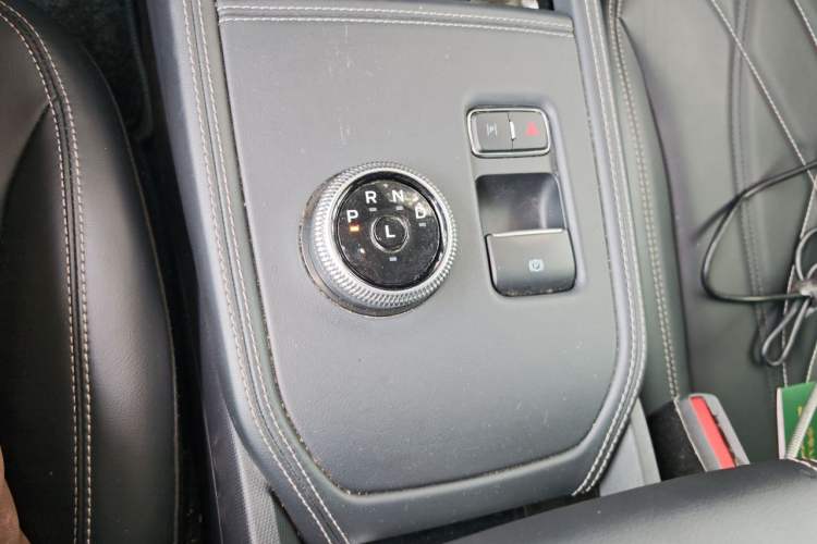 Used Ford Mustang Mach-E 2021 Leap Edition Rear-Drive Version (Standard Range) Gear Lever