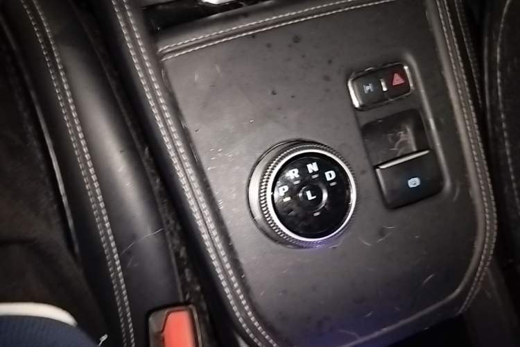 Used Ford Mustang Mach-E 2021 Leap Edition Rear-Drive Version (Standard Range) Gear Lever