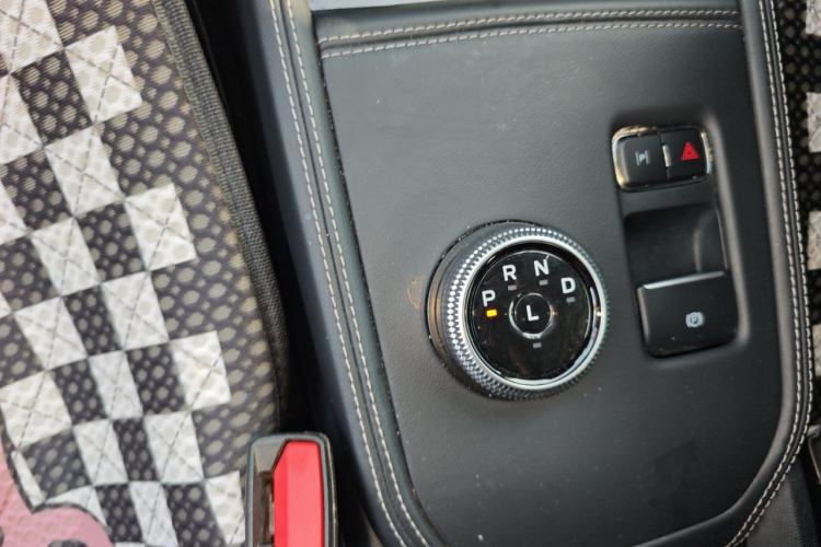 Used Ford Mustang Mach-E 2021 Leap Edition Rear-Drive Version (Standard Range) Gear Lever