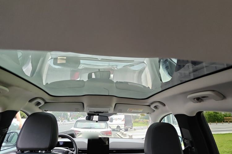 Used Ford Mustang Mach-E 2021 Leap Edition Rear-Drive Version (Standard Range) Headliner