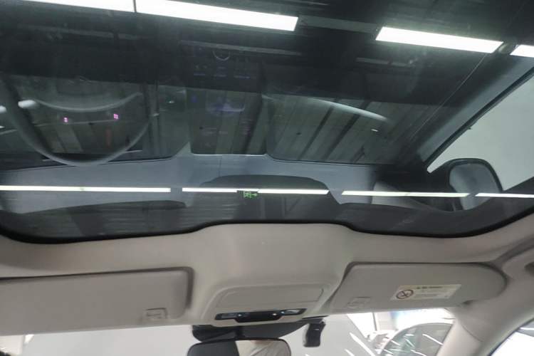 Used Ford Mustang Mach-E 2021 Leap Edition Rear-Drive Version (Standard Range) Headliner