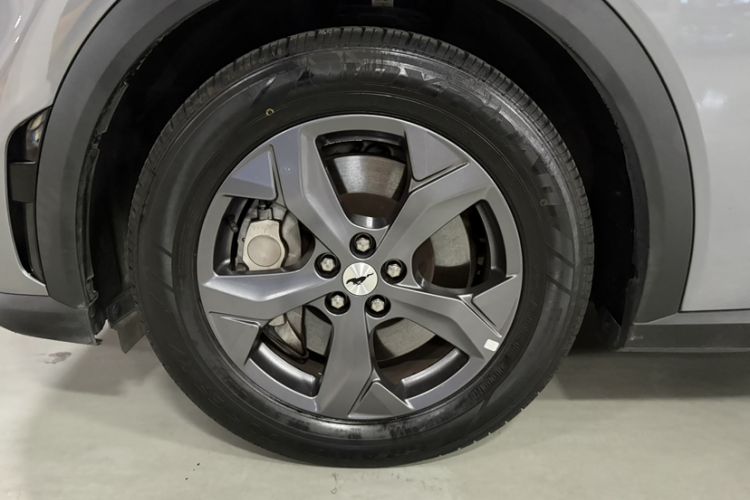 Used Ford Mustang Mach-E 2021 Leap Edition Rear-Drive Version (Standard Range) Headliner