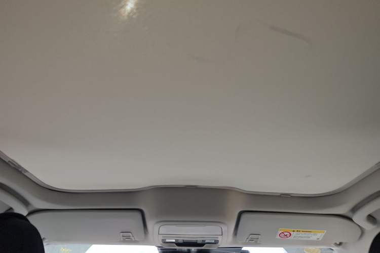 Used Ford Mustang Mach-E 2021 Leap Edition Rear-Drive Version (Standard Range) Headliner