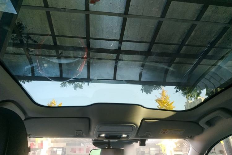 Used Ford Mustang Mach-E 2021 Leap Edition Rear-Drive Version (Standard Range) Headliner