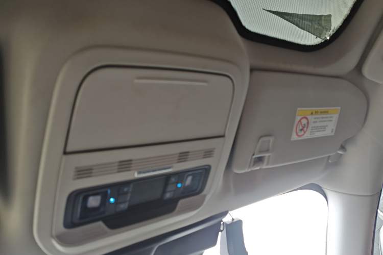 Used Ford Mustang Mach-E 2021 AION Y Plus Rear-Drive Luxury Edition (Long Range) Headliner