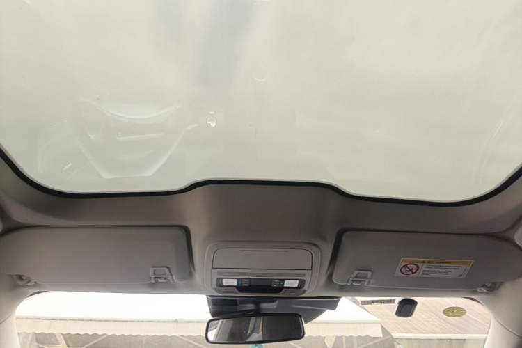 Used Ford Mustang Mach-E 2021 AION Y Plus Rear-Drive Luxury Edition (Long Range) Headliner