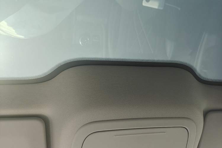 Used Ford Mustang Mach-E 2021 Leap Edition Rear-Drive Version (Standard Range) Headliner
