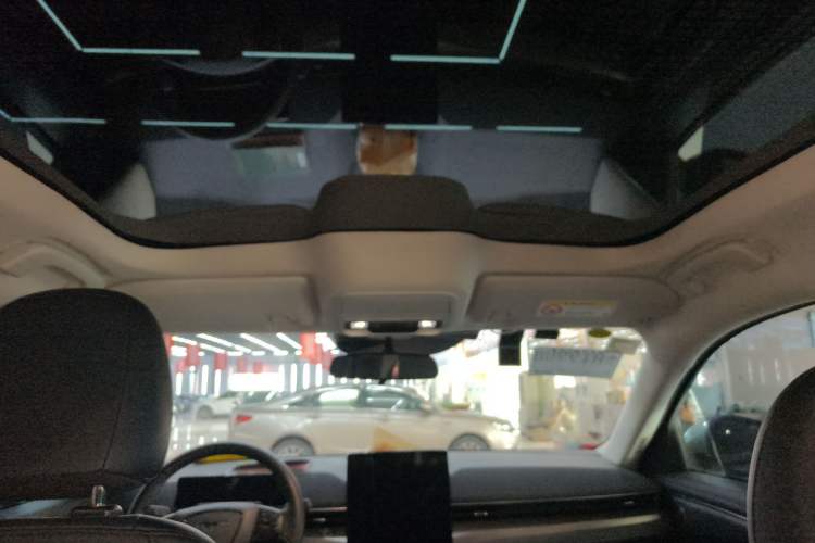 Used Ford Mustang Mach-E 2021 Leap Edition Rear-Drive Version (Standard Range) Headliner