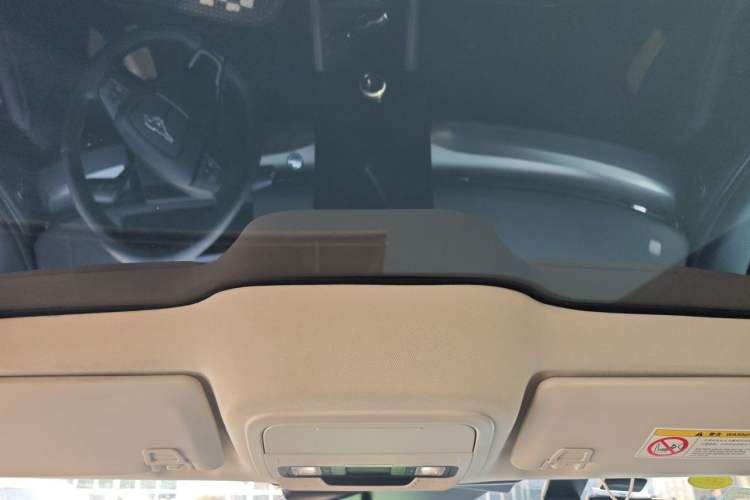 Used Ford Mustang Mach-E 2021 Leap Edition Rear-Drive Version (Standard Range) Headliner