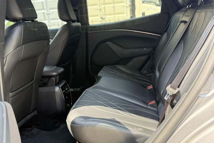 Used Ford Mustang Mach-E 2021 Leap Edition Rear-Drive Version (Standard Range) Interior 3