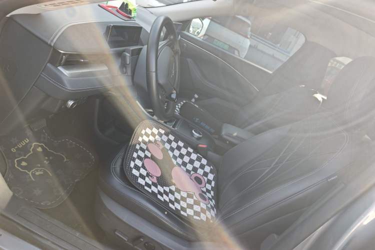 Used Ford Mustang Mach-E 2021 Leap Edition Rear-Drive Version (Standard Range) Left Front Seat