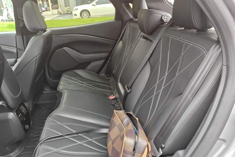 Used Ford Mustang Mach-E 2021 Leap Edition Rear-Drive Version (Standard Range) Left Rear Seat