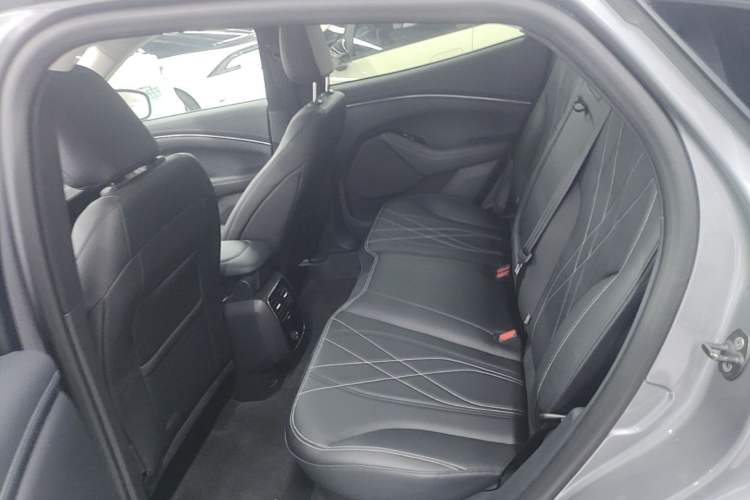 Used Ford Mustang Mach-E 2021 Leap Edition Rear-Drive Version (Standard Range) Left Rear Seat