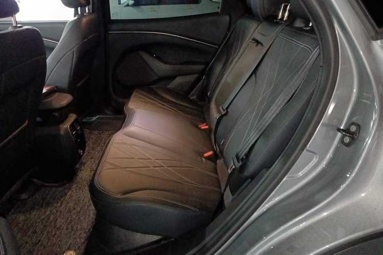 Used Ford Mustang Mach-E 2021 Leap Edition Rear-Drive Version (Standard Range) Left Rear Seat
