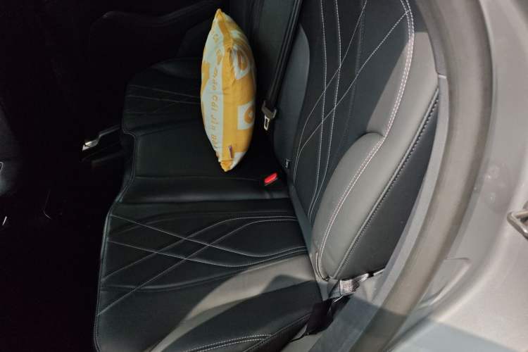 Used Ford Mustang Mach-E 2021 Leap Edition Rear-Drive Version (Standard Range) Left Rear Seat