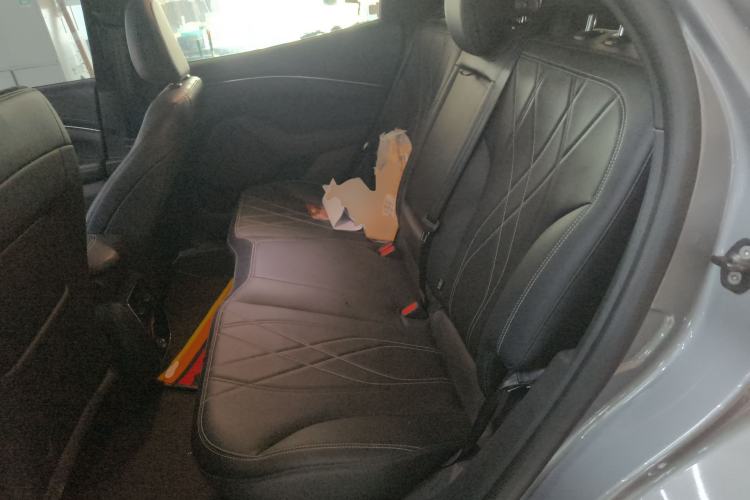 Used Ford Mustang Mach-E 2021 Leap Edition Rear-Drive Version (Standard Range) Left Rear Seat