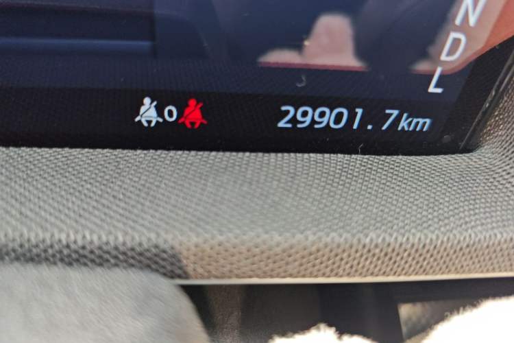 Used Ford Mustang Mach-E 2021 Leap Edition Rear-Drive Version (Standard Range) Odometer Close Up