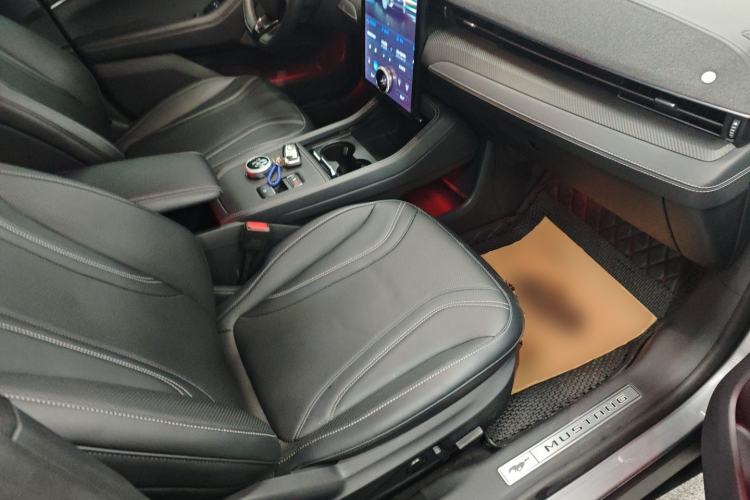 Used Ford Mustang Mach-E 2021 AION Y Plus Rear-Drive Luxury Edition (Long Range) Right Front Seat