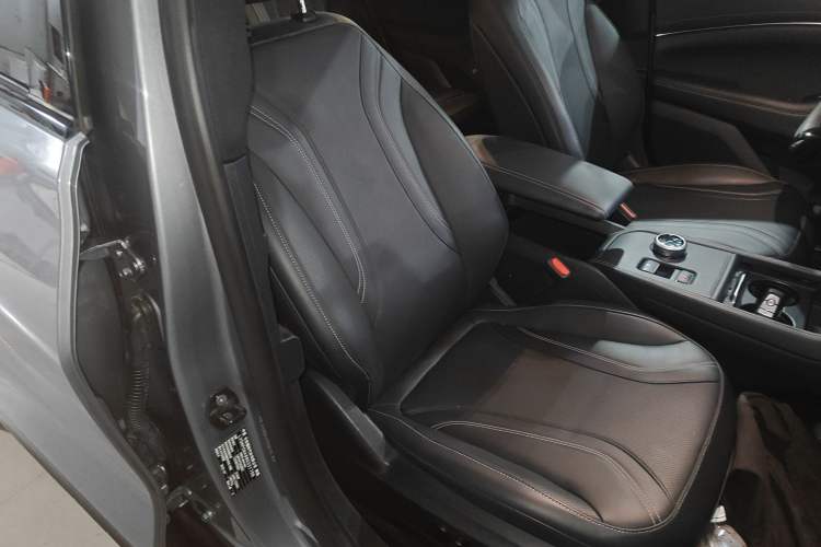 Used Ford Mustang Mach-E 2021 AION Y Plus Rear-Drive Luxury Edition (Long Range) Right Front Seat