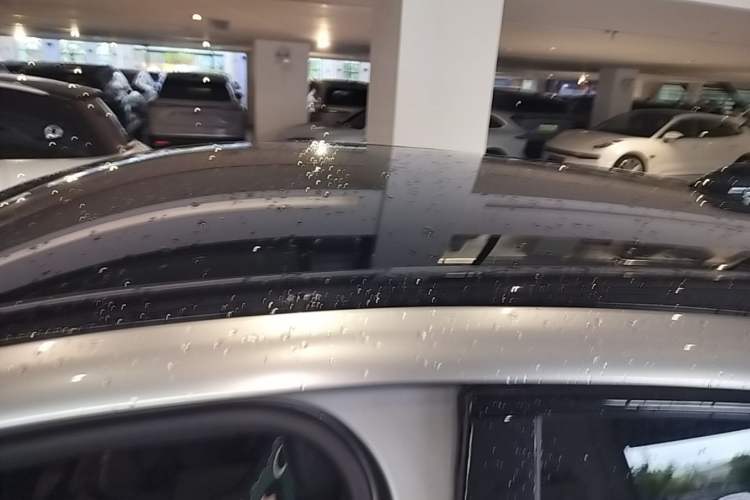 Used Ford Mustang Mach-E 2021 Leap Edition Rear-Drive Version (Standard Range) Roof
