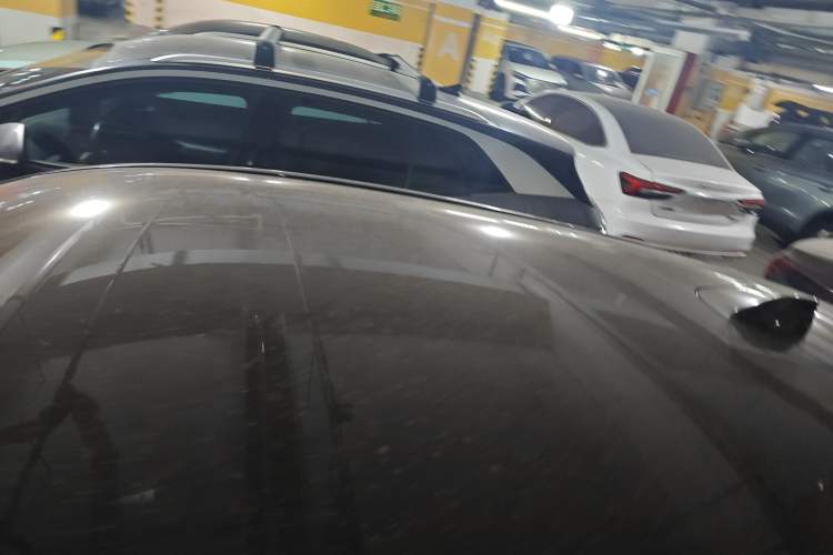 Used Ford Mustang Mach-E 2021 AION Y Plus Rear-Drive Luxury Edition (Long Range) Roof