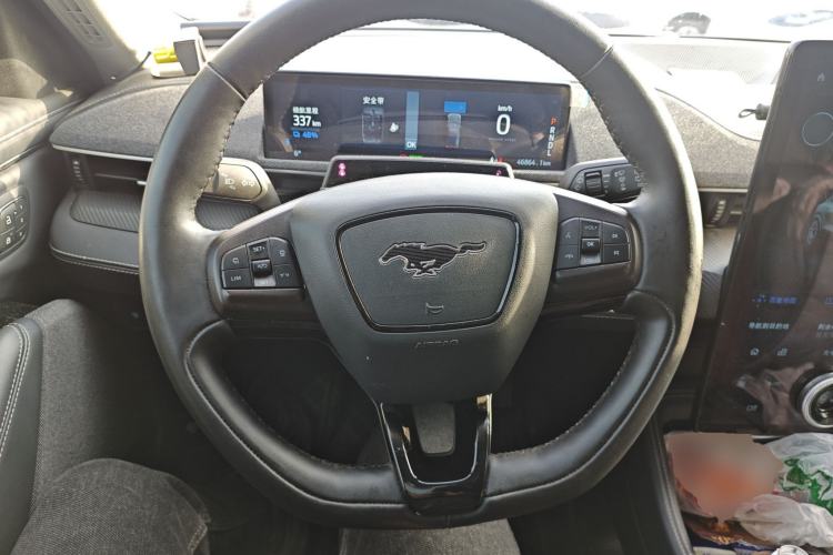 Used Ford Mustang Mach-E 2021 AION Y Plus Rear-Drive Luxury Edition (Long Range) Steering Wheel