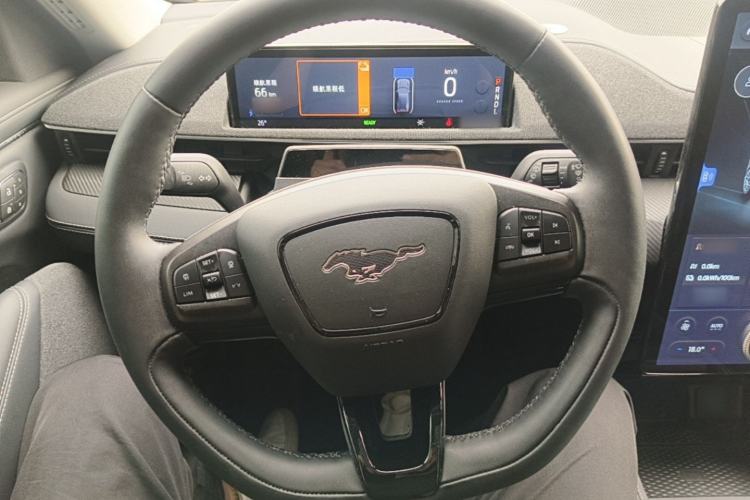 Used Ford Mustang Mach-E 2021 AION Y Plus Rear-Drive Luxury Edition (Long Range) Steering Wheel