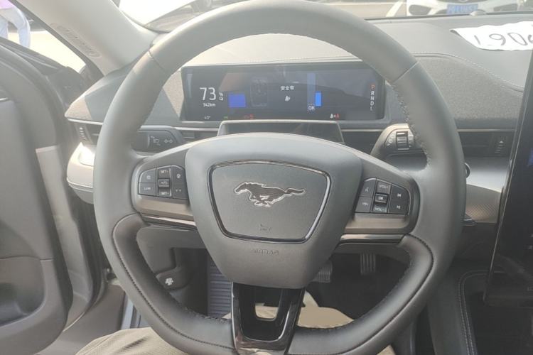 Used Ford Mustang Mach-E 2021 Leap Edition Rear-Drive Version (Standard Range) Steering Wheel