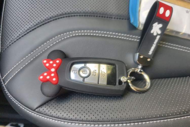 Used Ford Mustang Mach-E 2021 AION Y Plus Rear-Drive Luxury Edition (Long Range) Vehicle Key