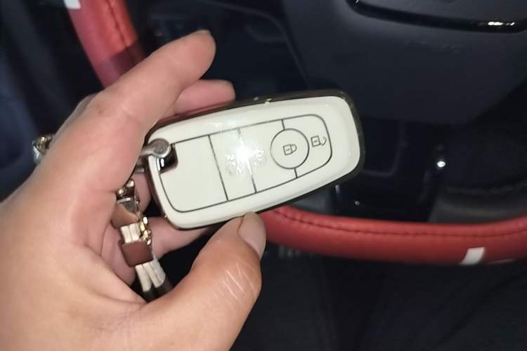 Used Ford Mustang Mach-E 2021 Leap Edition Rear-Drive Version (Standard Range) Vehicle Key
