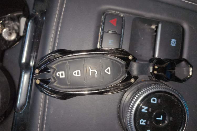 Used Ford Mustang Mach-E 2021 Leap Edition Rear-Drive Version (Standard Range) Vehicle Key