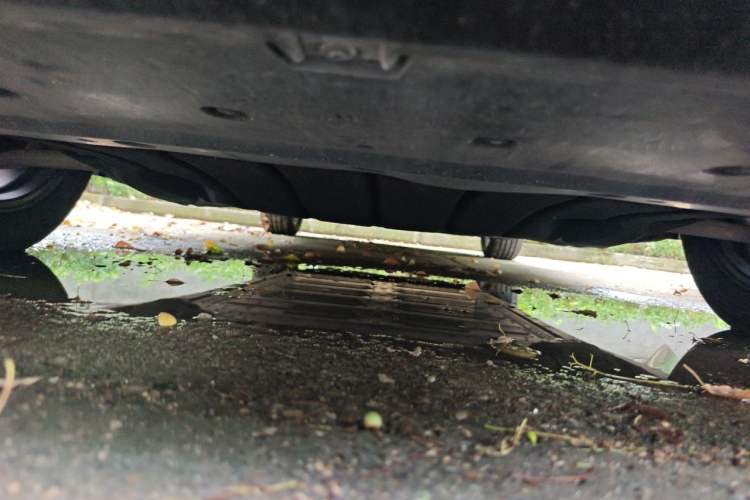 Used Ford Mustang Mach-E 2021 AION Y Plus Rear-Drive Luxury Edition (Long Range) Chassis Front