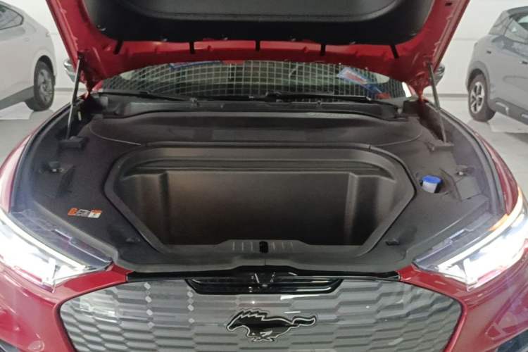 Used Ford Mustang Mach-E 2021 AION Y Plus Rear-Drive Luxury Edition (Long Range) Engine Bay