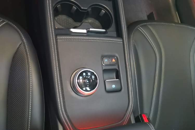 Used Ford Mustang Mach-E 2021 AION Y Plus Rear-Drive Luxury Edition (Long Range) Gear Lever