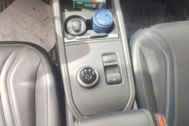 Used Ford Mustang Mach-E 2021 AION Y Plus Rear-Drive Luxury Edition (Long Range) Gear Lever