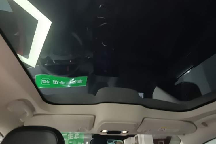 Used Ford Mustang Mach-E 2021 AION Y Plus Rear-Drive Luxury Edition (Long Range) Headliner