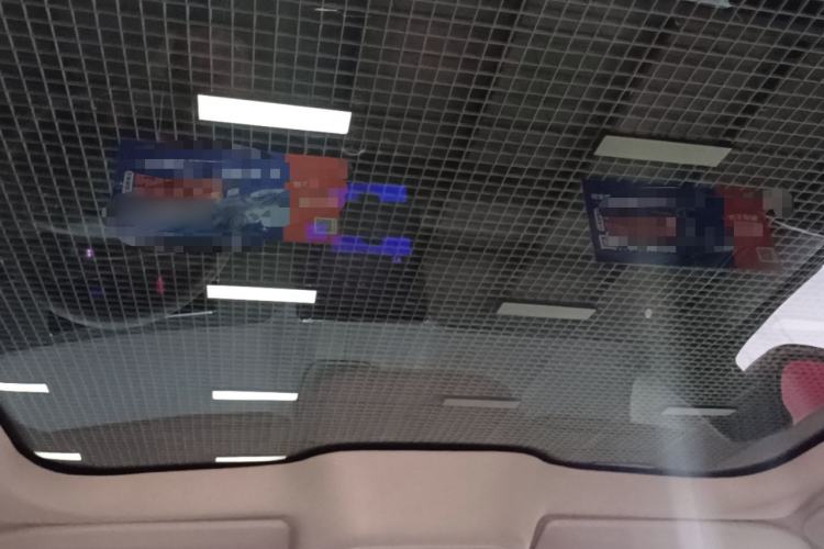 Used Ford Mustang Mach-E 2021 AION Y Plus Rear-Drive Luxury Edition (Long Range) Headliner