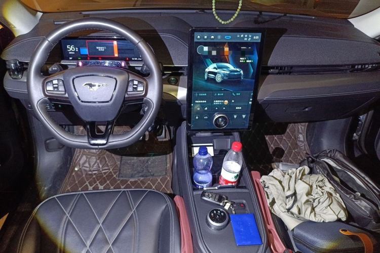 Used Ford Mustang Mach-E 2021 Leap Edition Rear-Drive Version (Standard Range) Center Console