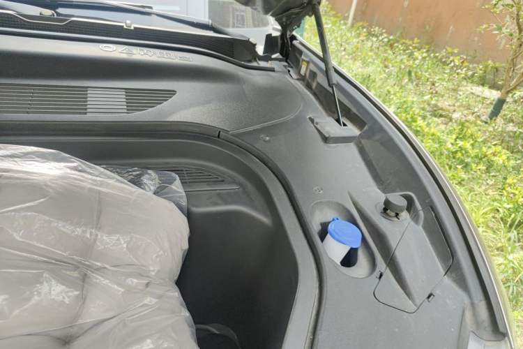 Used Ford Mustang Mach-E 2021 Leap Edition Rear-Drive Version (Standard Range) Engine Bay Left