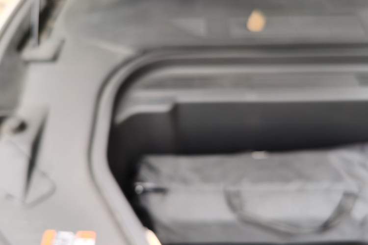 Used Ford Mustang Mach-E 2021 Leap Edition Rear-Drive Version (Standard Range) Engine Bay Right