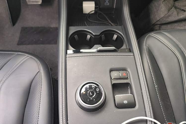 Used Ford Mustang Mach-E 2021 AION Y Plus Rear-Drive Luxury Edition (Long Range) Gear Lever