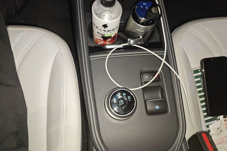 Used Ford Mustang Mach-E 2021 AION Y Plus Rear-Drive Luxury Edition (Long Range) Gear Lever