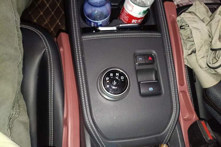 Used Ford Mustang Mach-E 2021 Leap Edition Rear-Drive Version (Standard Range) Gear Lever